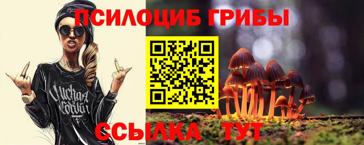 Псилоцибиновые грибы Psilocybine cubensis Губкин